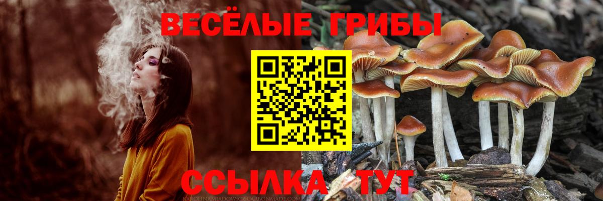 Галлюциногенные грибы прущие грибы Электрогорск